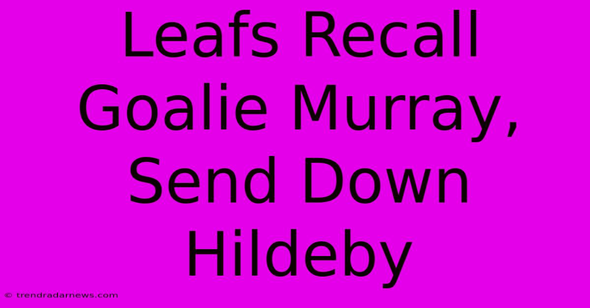 Leafs Recall Goalie Murray, Send Down Hildeby