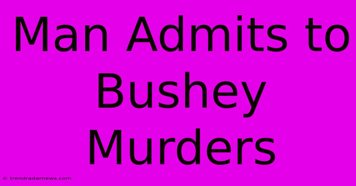 Man Admits To Bushey Murders