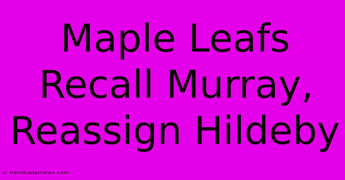 Maple Leafs Recall Murray, Reassign Hildeby