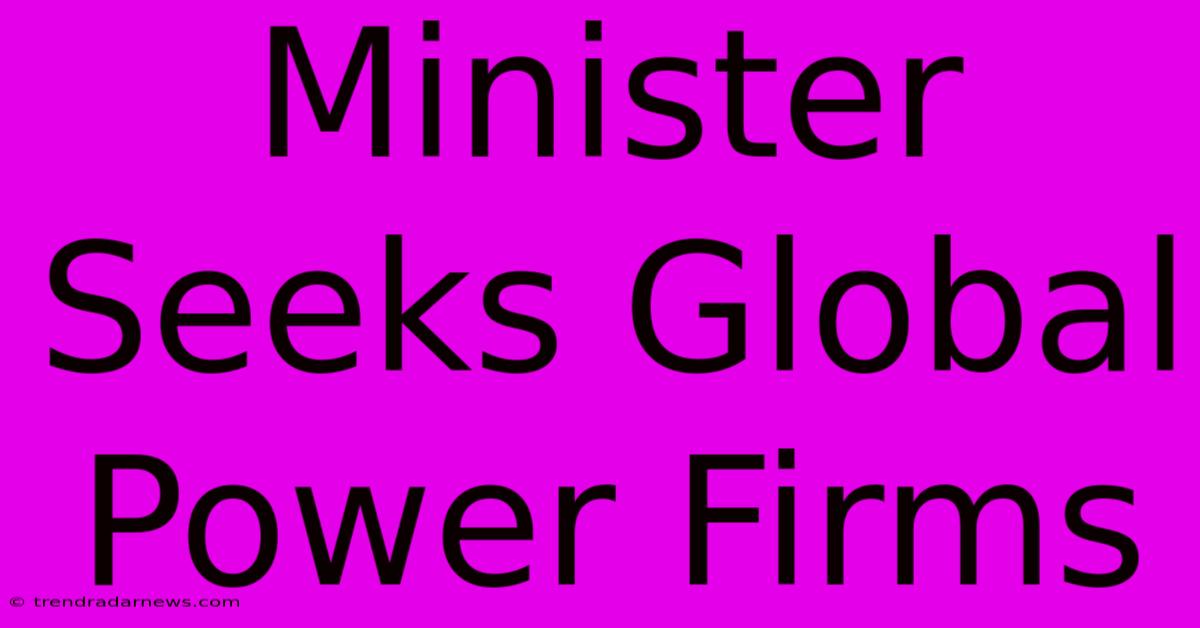 Minister Seeks Global Power Firms