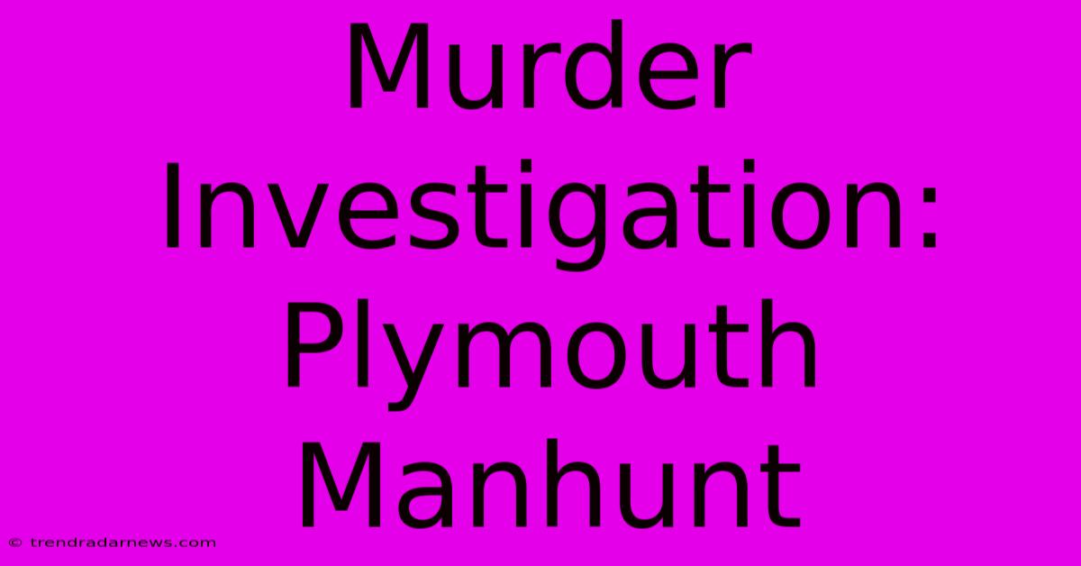 Murder Investigation: Plymouth Manhunt