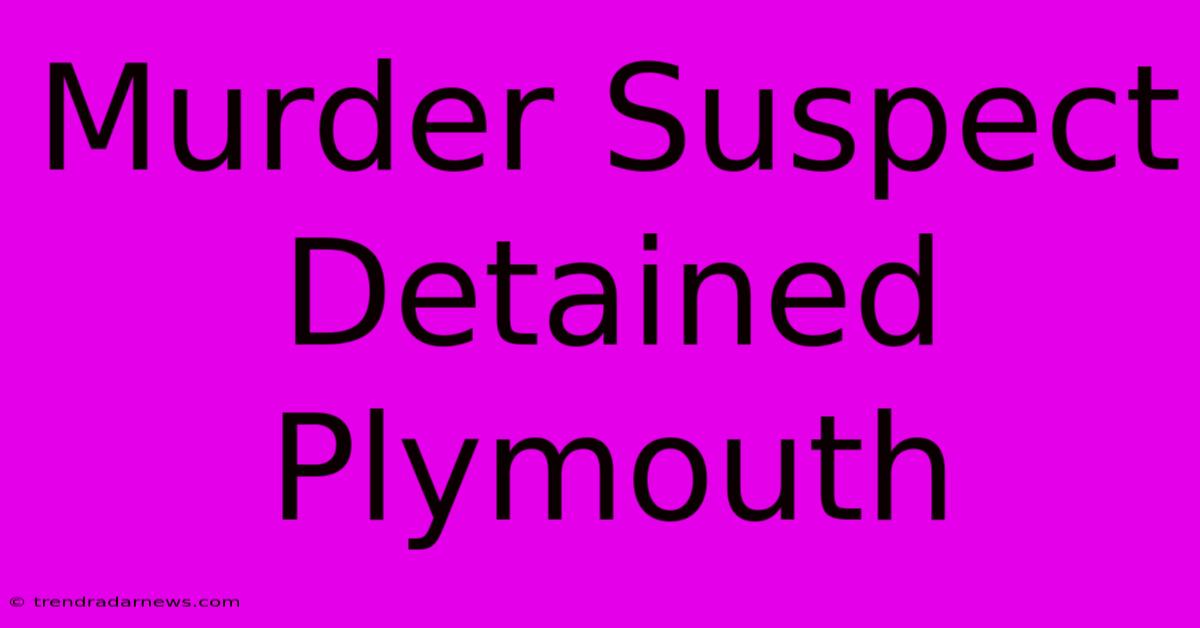 Murder Suspect Detained Plymouth