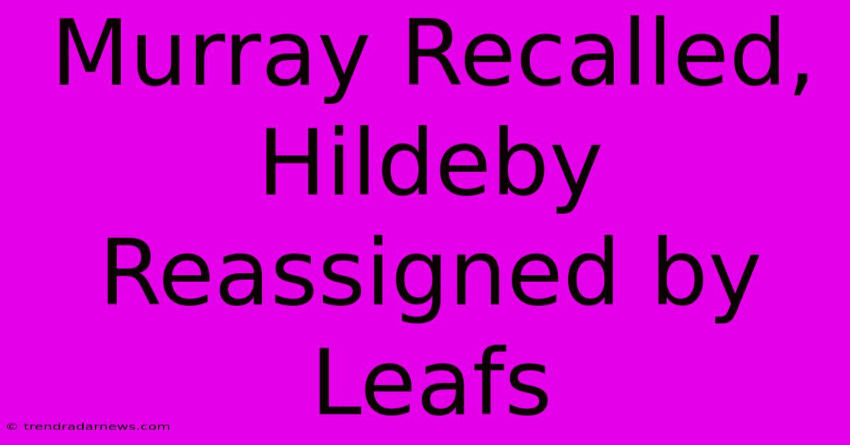 Murray Recalled, Hildeby Reassigned By Leafs