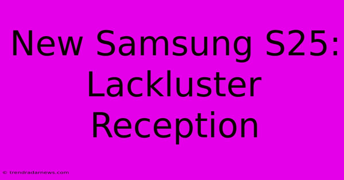 New Samsung S25:  Lackluster Reception