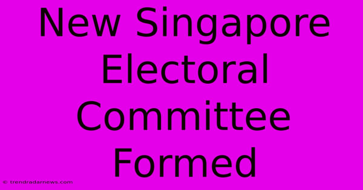 New Singapore Electoral Committee Formed