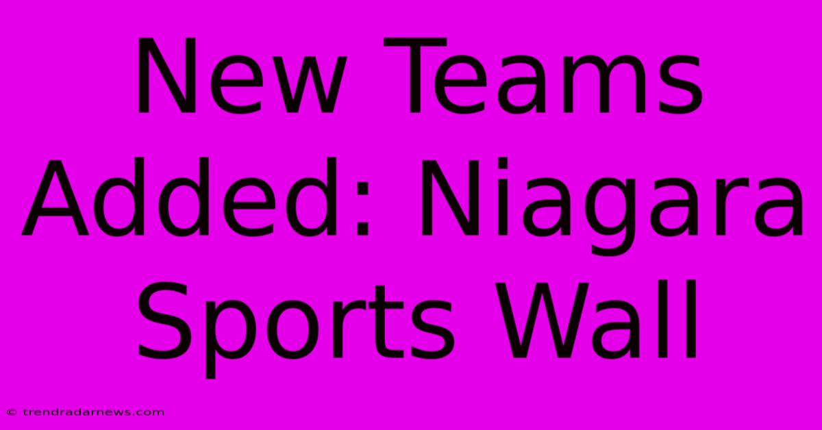 New Teams Added: Niagara Sports Wall