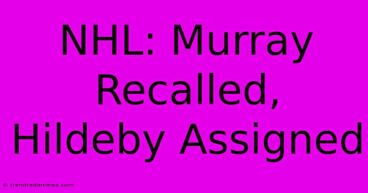 NHL: Murray Recalled, Hildeby Assigned