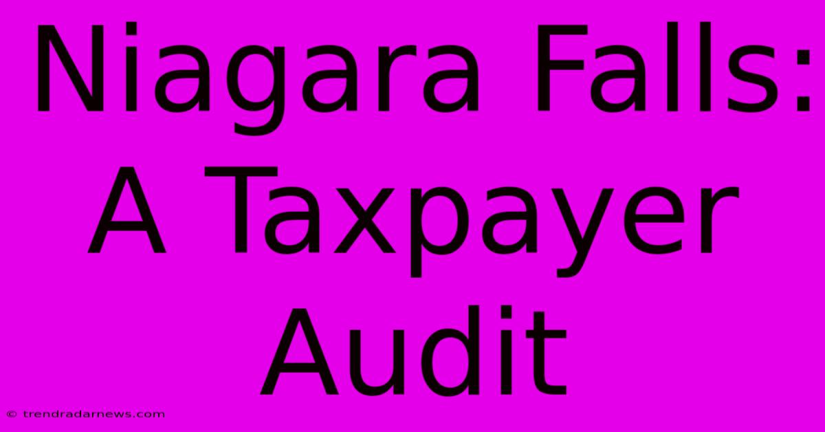 Niagara Falls: A Taxpayer Audit