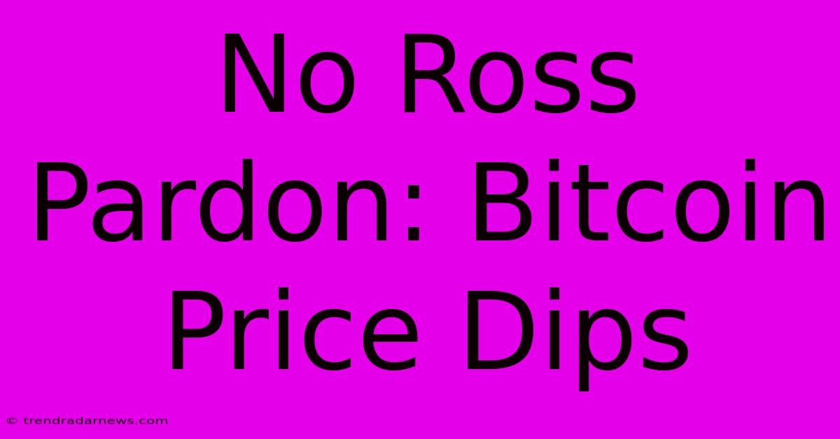 No Ross Pardon: Bitcoin Price Dips