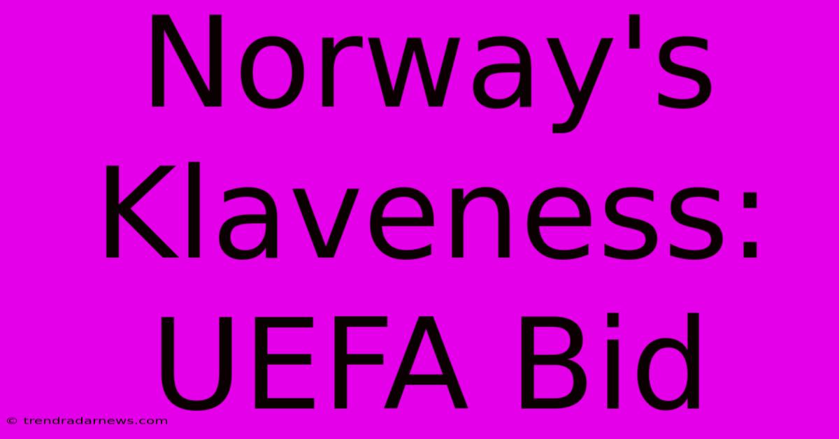 Norway's Klaveness: UEFA Bid