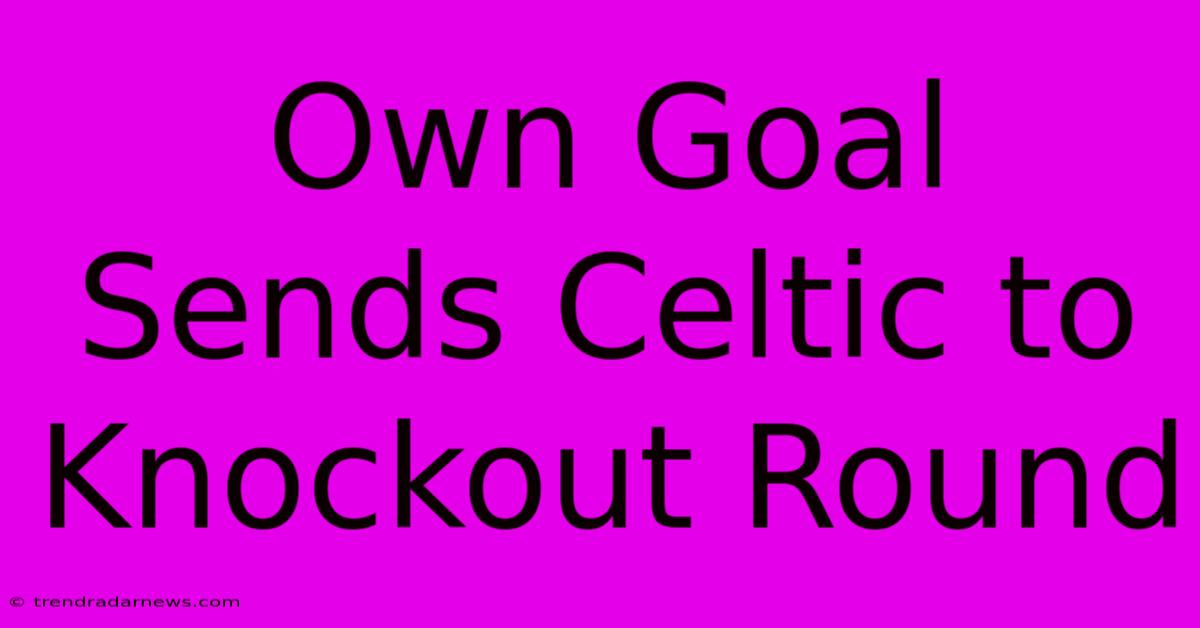 Own Goal Sends Celtic To Knockout Round