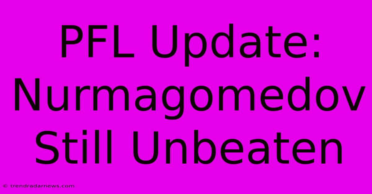 PFL Update: Nurmagomedov Still Unbeaten