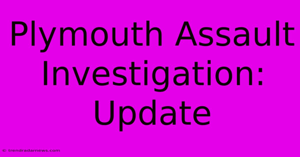 Plymouth Assault Investigation: Update