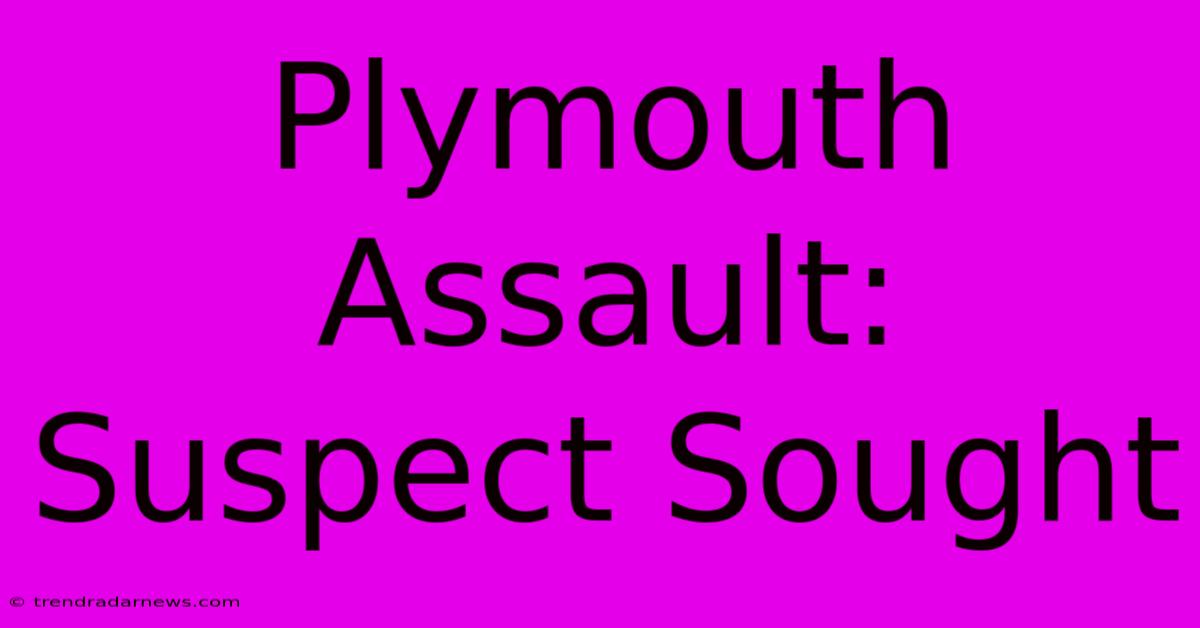 Plymouth Assault: Suspect Sought