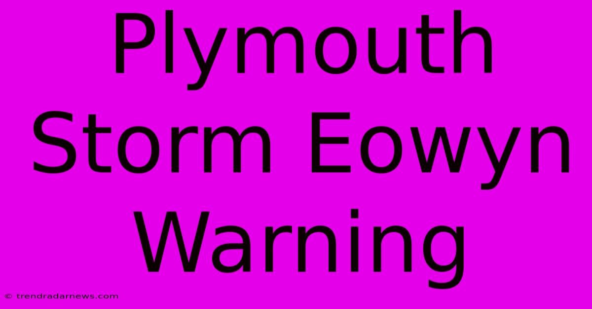 Plymouth Storm Eowyn Warning