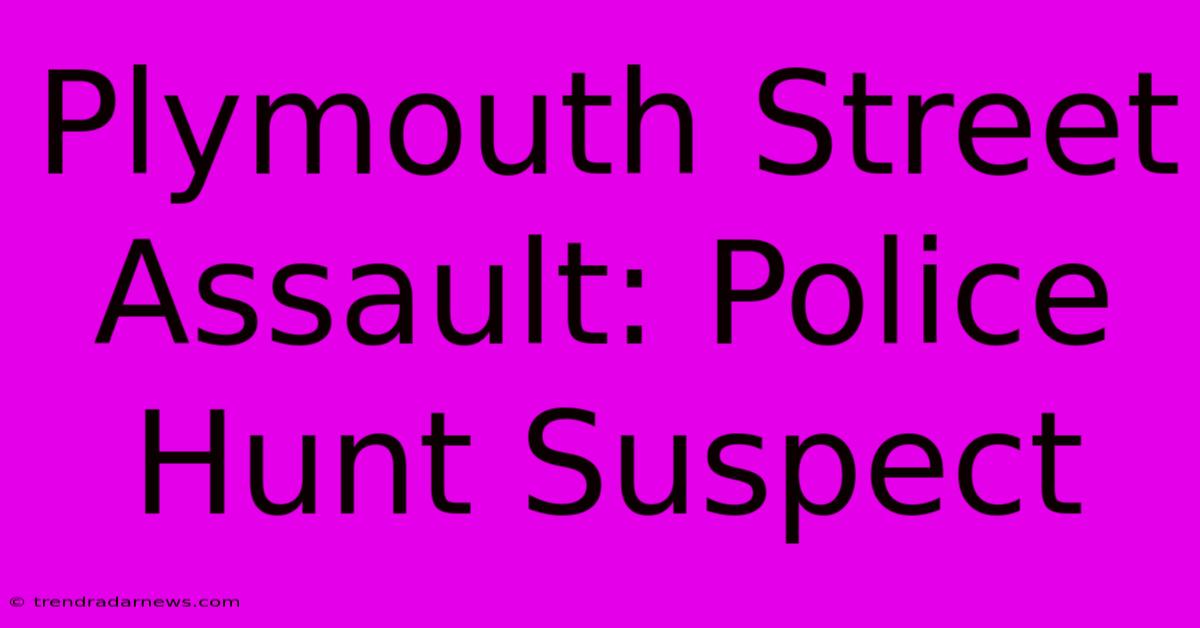 Plymouth Street Assault: Police Hunt Suspect