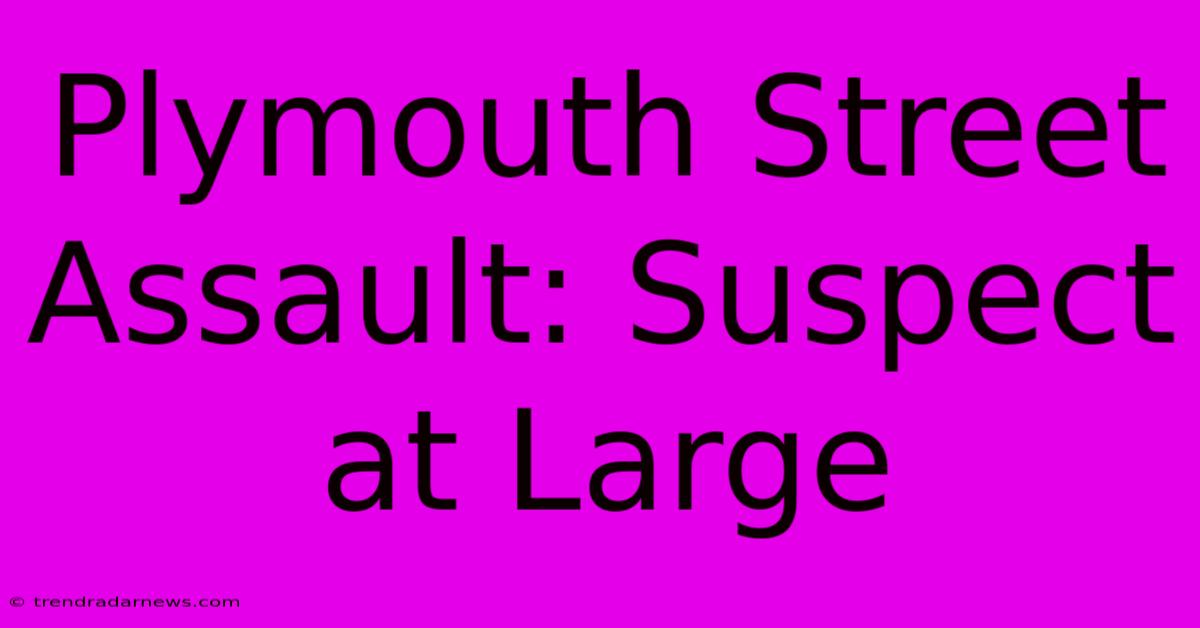 Plymouth Street Assault: Suspect At Large