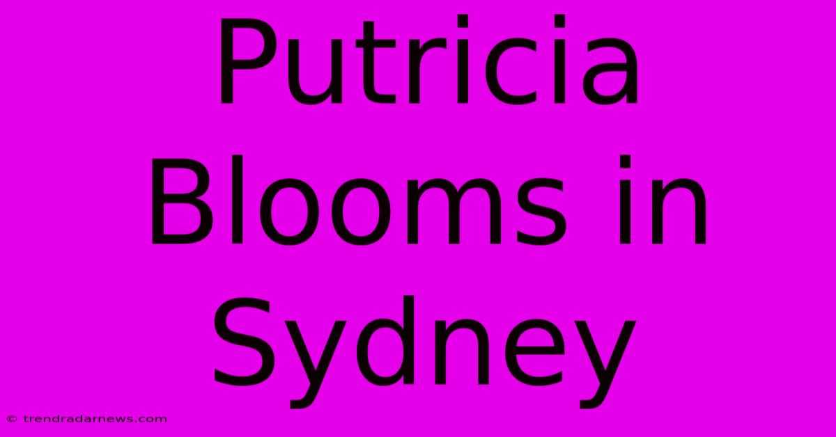 Putricia Blooms In Sydney