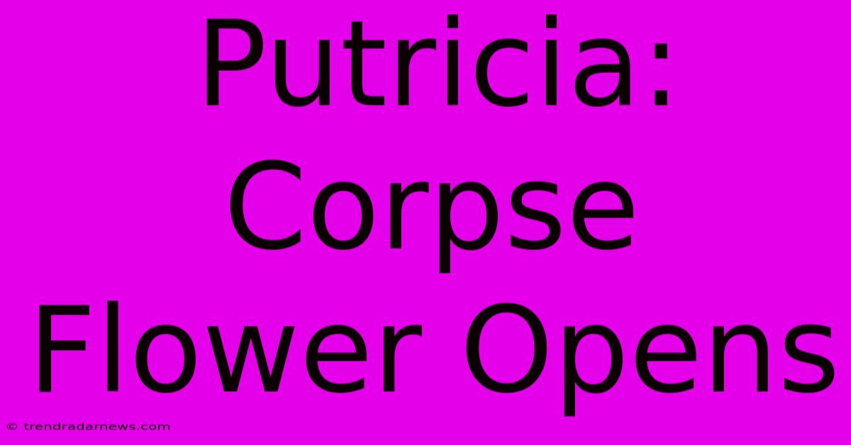 Putricia: Corpse Flower Opens