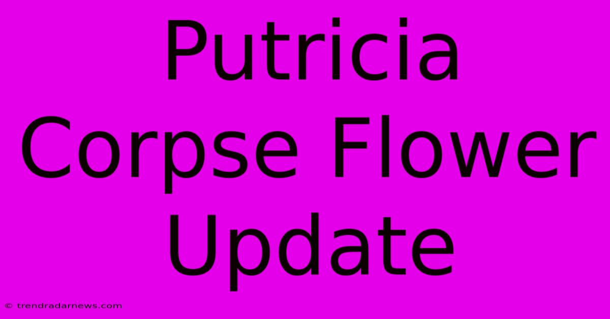 Putricia Corpse Flower Update