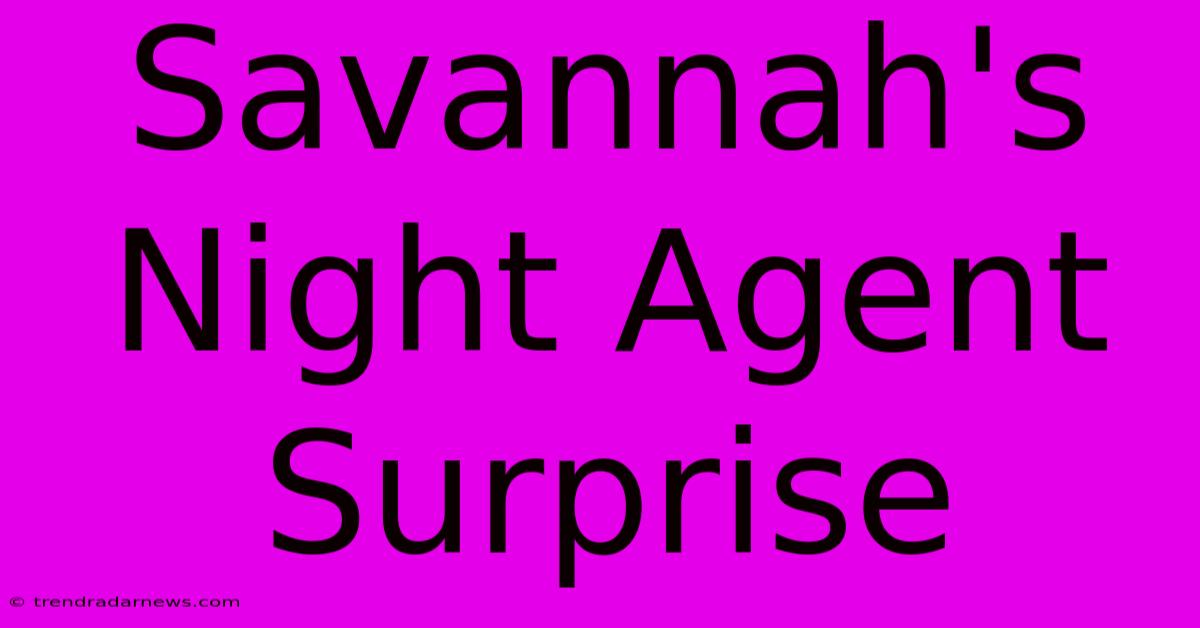 Savannah's Night Agent Surprise