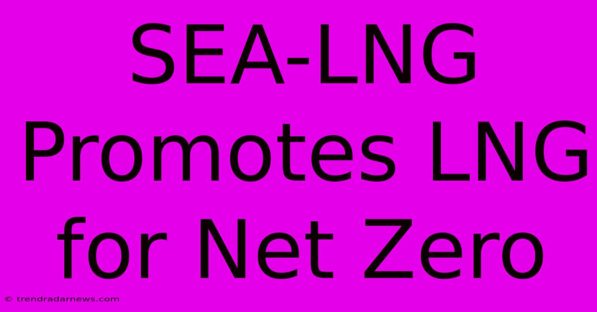 SEA-LNG Promotes LNG For Net Zero