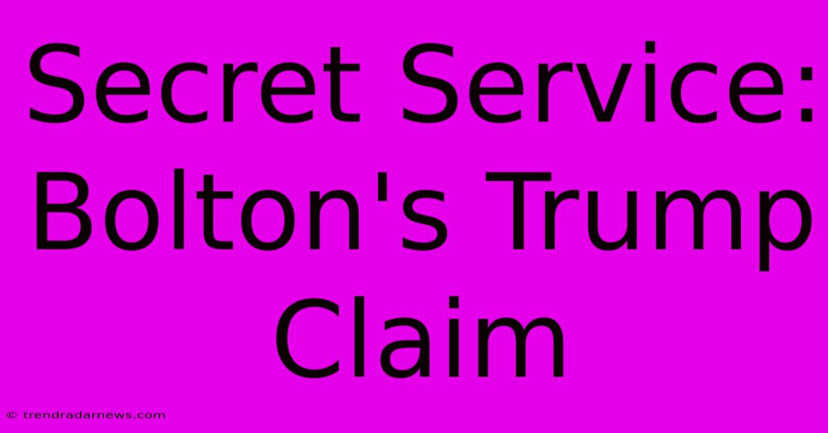 Secret Service: Bolton's Trump Claim