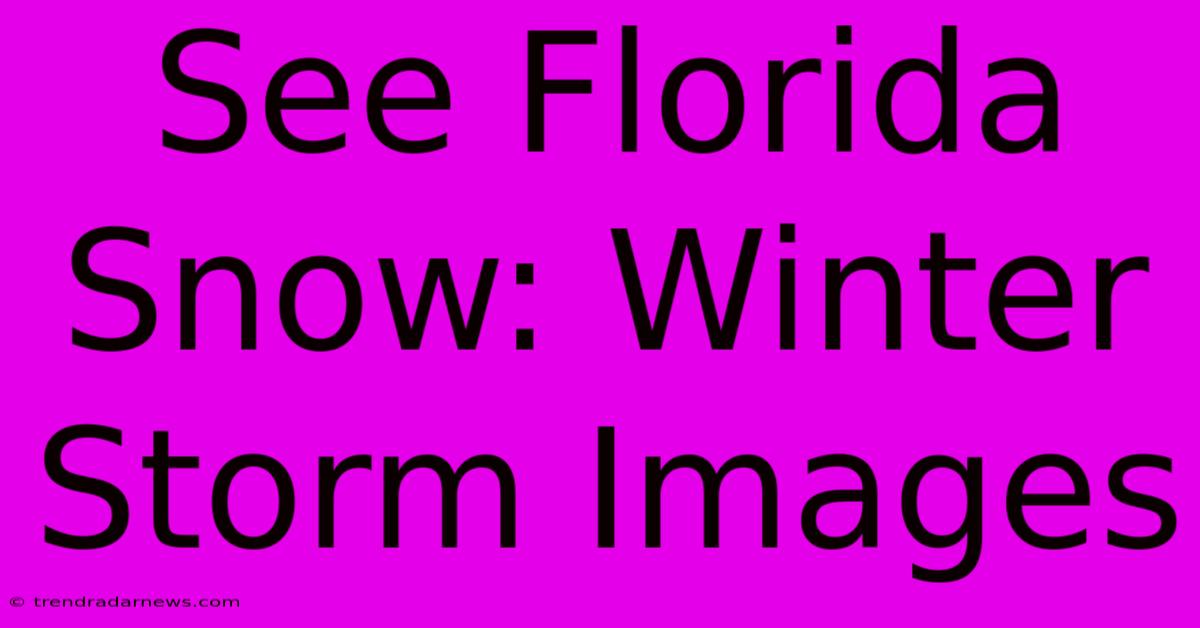 See Florida Snow: Winter Storm Images