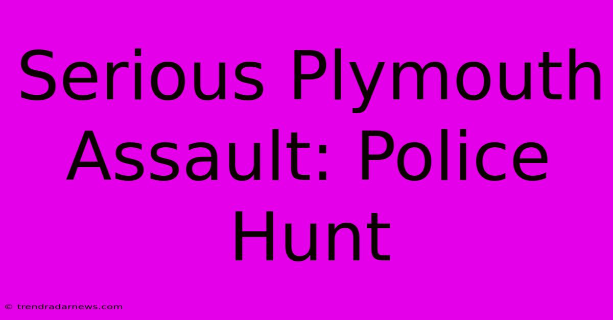 Serious Plymouth Assault: Police Hunt