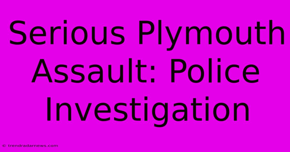 Serious Plymouth Assault: Police Investigation