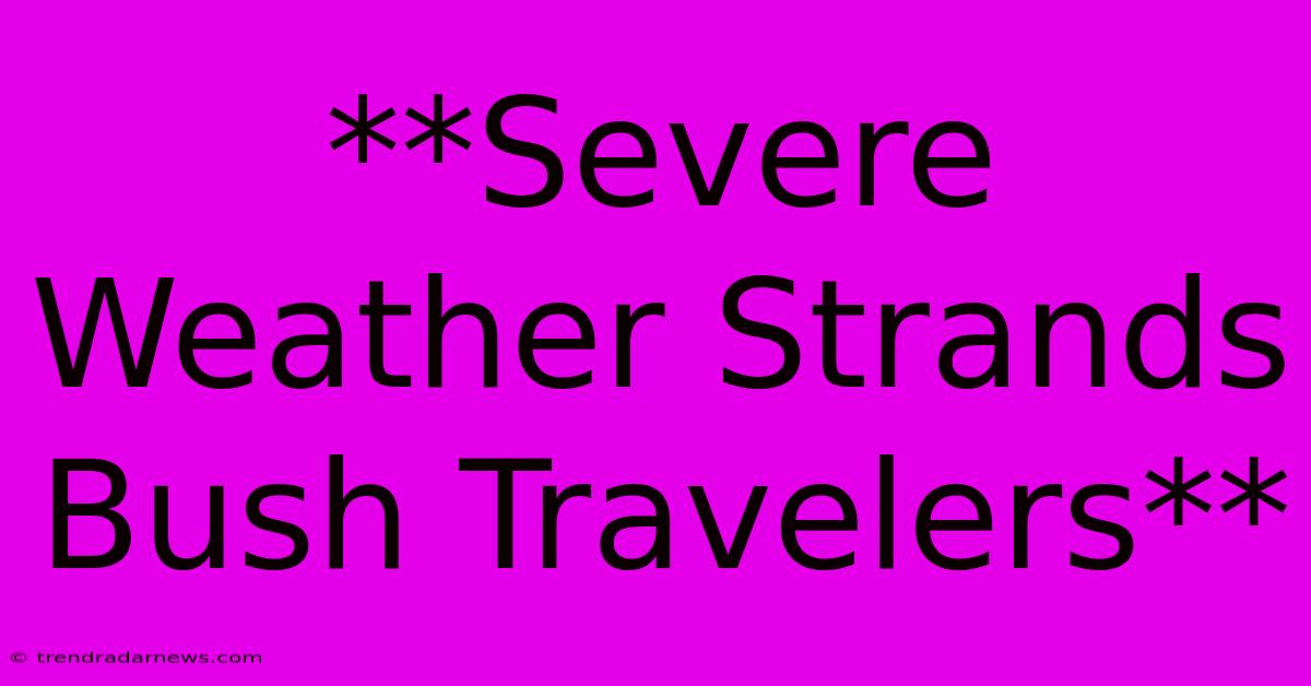 **Severe Weather Strands Bush Travelers**