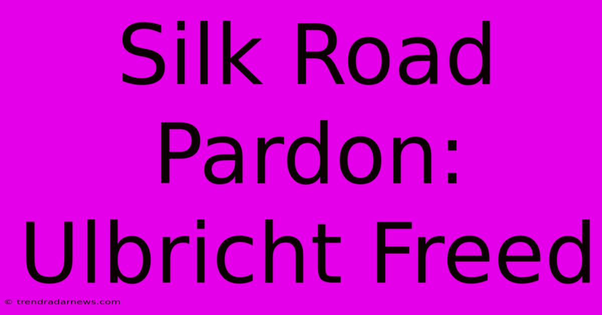 Silk Road Pardon: Ulbricht Freed