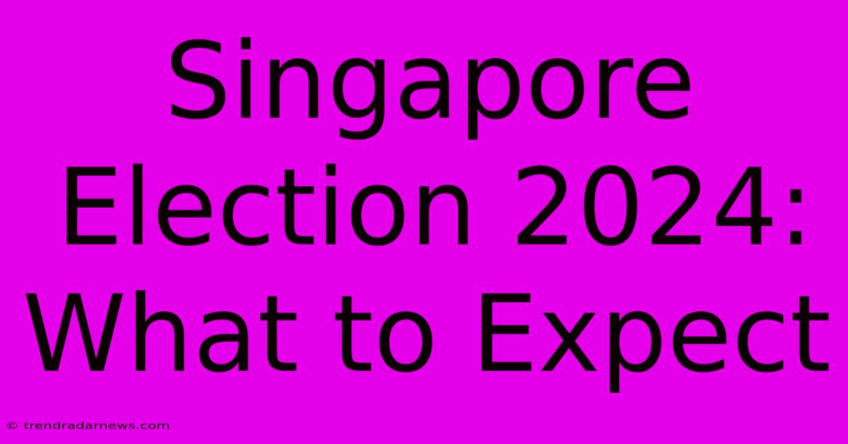 Singapore Election 2024: What To Expect