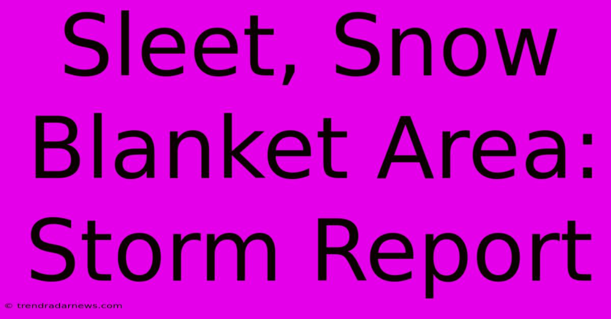 Sleet, Snow Blanket Area: Storm Report