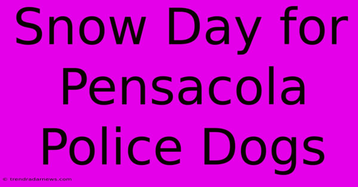 Snow Day For Pensacola Police Dogs