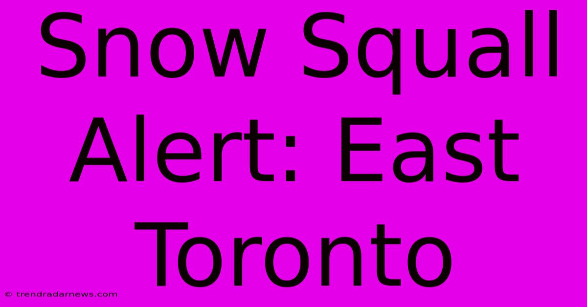 Snow Squall Alert: East Toronto