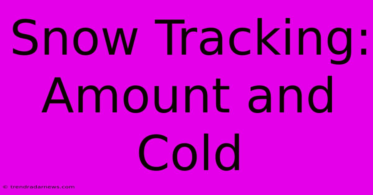 Snow Tracking: Amount And Cold