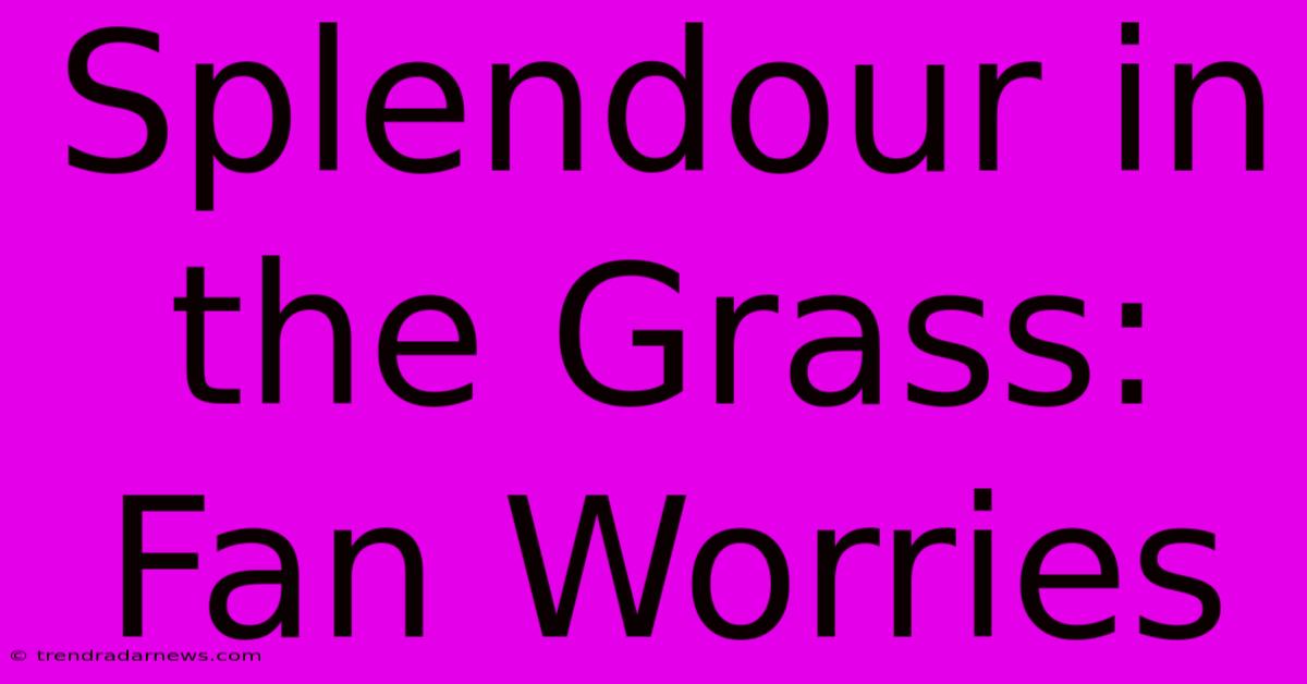 Splendour In The Grass: Fan Worries