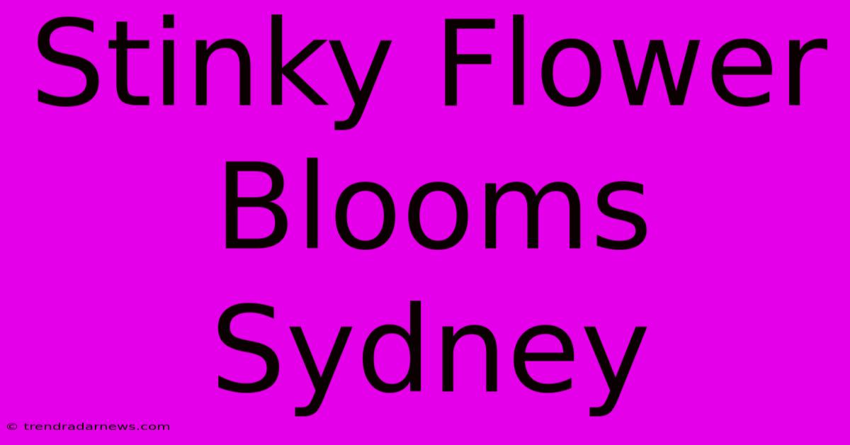 Stinky Flower Blooms Sydney