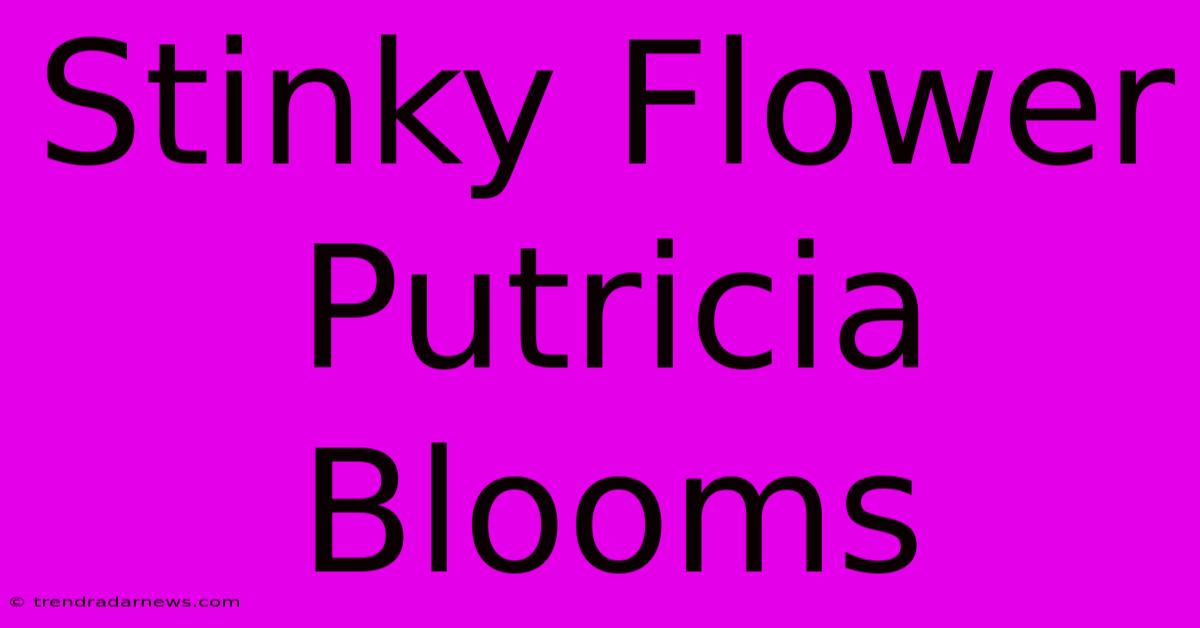 Stinky Flower Putricia Blooms