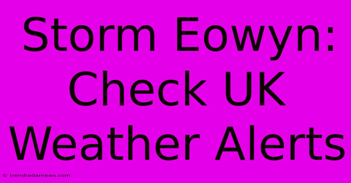 Storm Eowyn: Check UK Weather Alerts