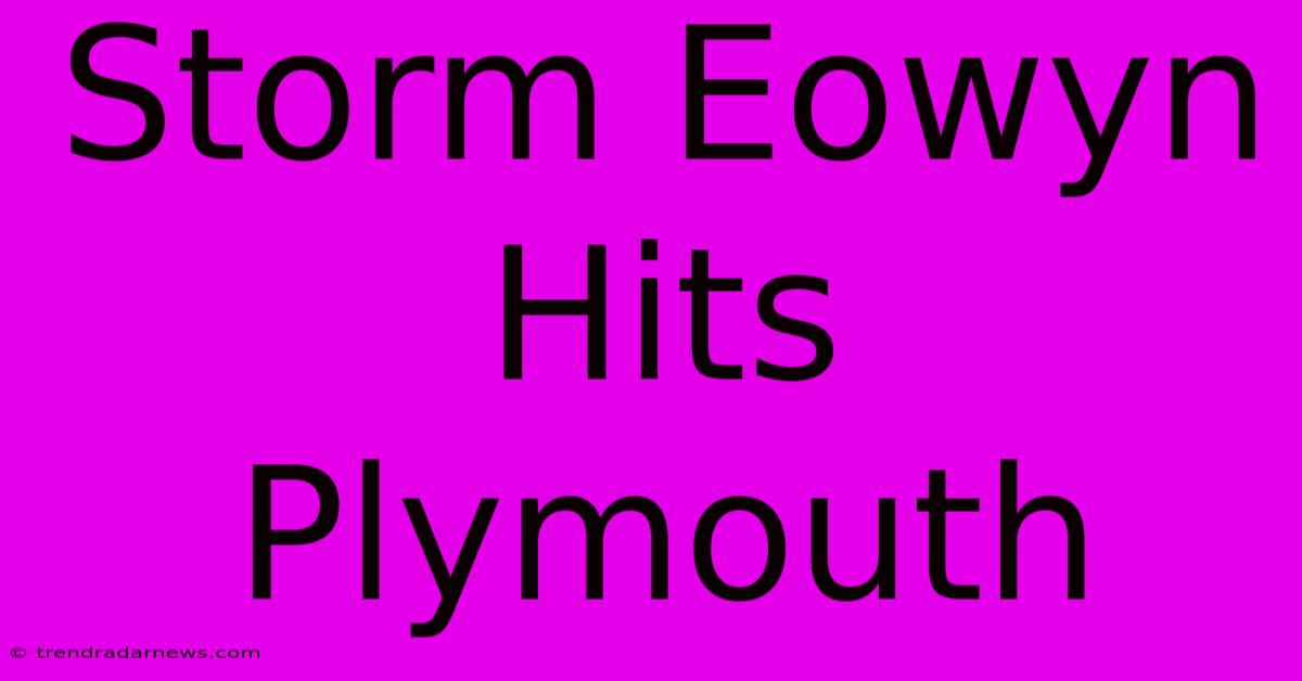 Storm Eowyn Hits Plymouth