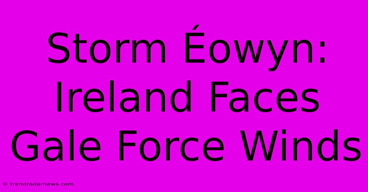 Storm Éowyn: Ireland Faces Gale Force Winds