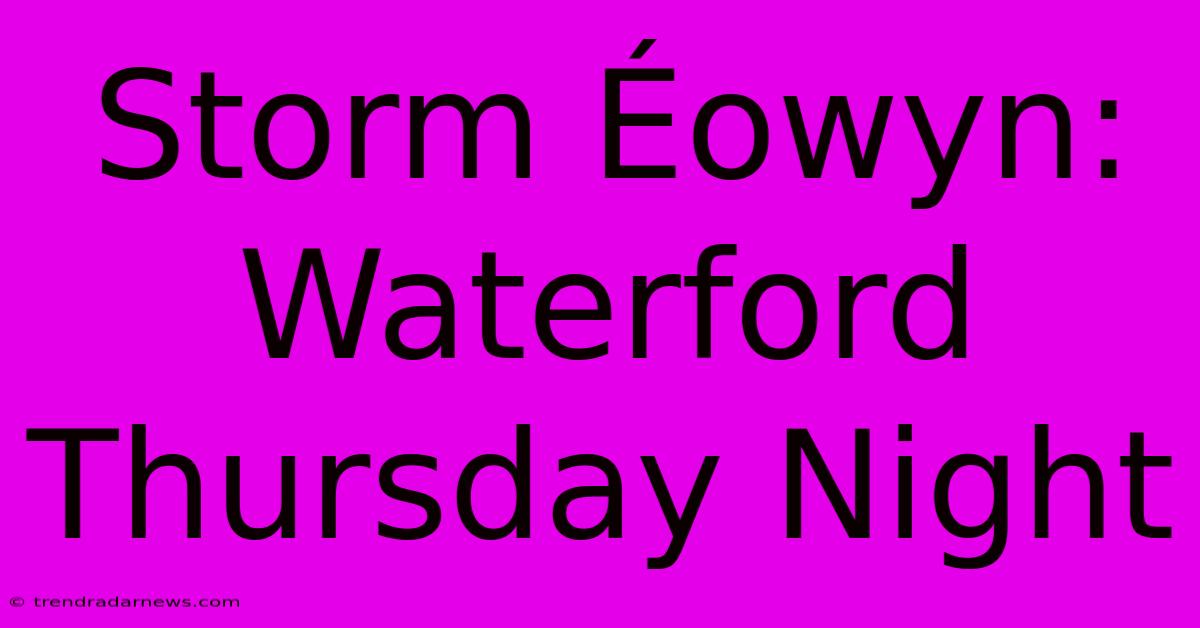 Storm Éowyn: Waterford Thursday Night