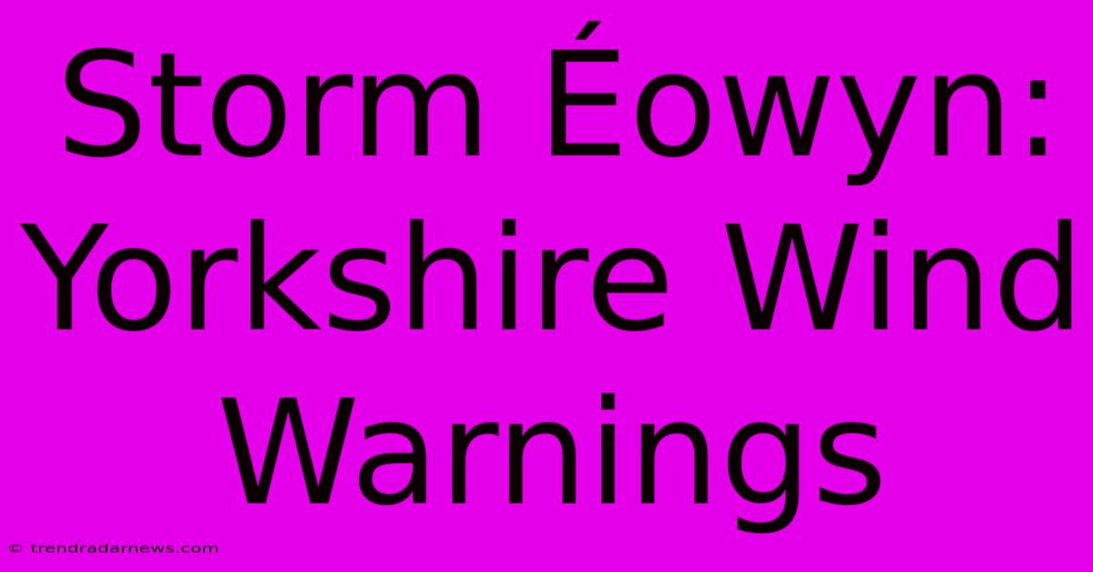 Storm Éowyn: Yorkshire Wind Warnings