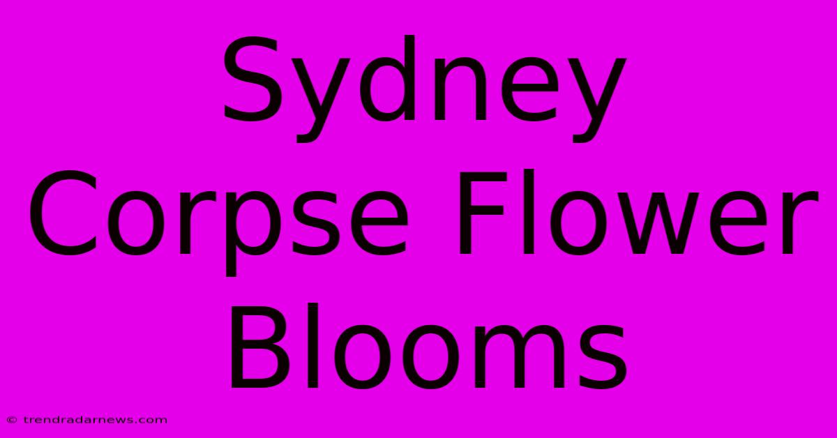 Sydney Corpse Flower Blooms