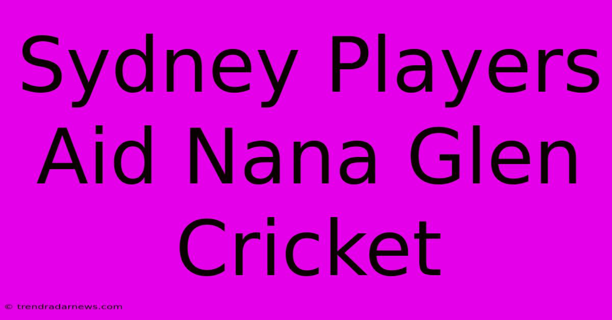 Sydney Players Aid Nana Glen Cricket