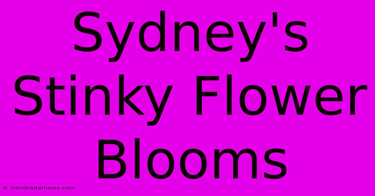 Sydney's Stinky Flower Blooms