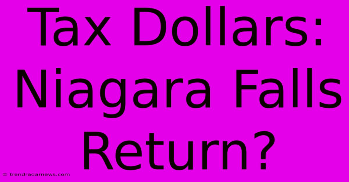 Tax Dollars: Niagara Falls Return?