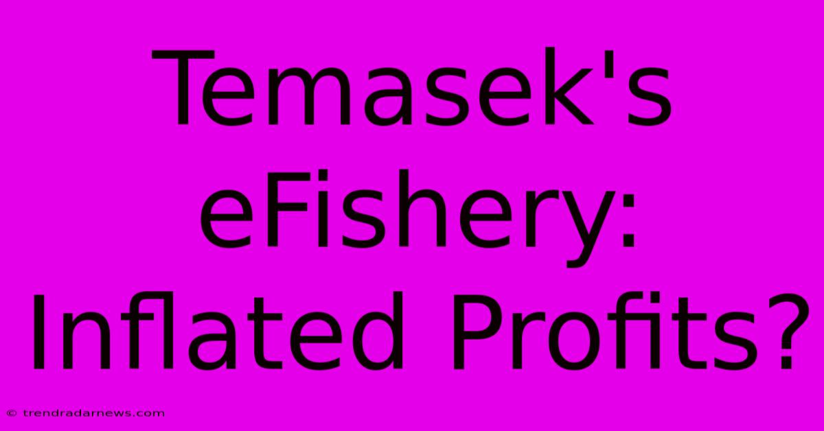 Temasek's EFishery: Inflated Profits?